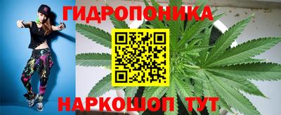 гашик Жуковский