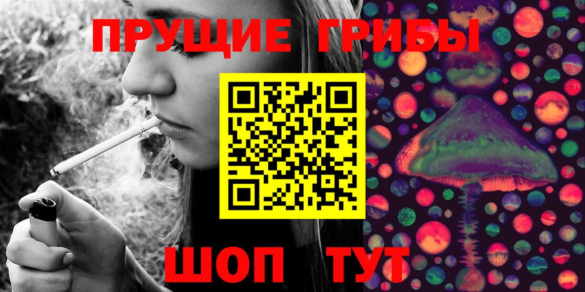 Галлюциногенные грибы Psilocybine cubensis Лабытнанги